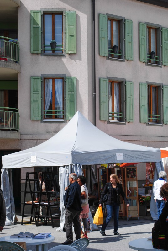 Fête du livre 2013